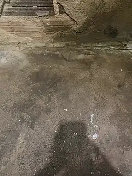 s1437jdjjddjjshbx online show from March 2025 02:40:02 PM