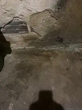 s1437jdjjddjjshbx online show from March 2025 05:29:02 AM