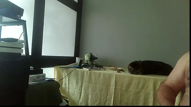 Snapshot of SexWorkerX chatting on November 2025 04:22:02 PM SexWorkerX online show from November 2025 04:22:02 PM