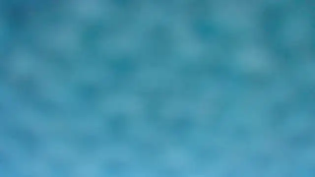 BarbaraTurners online show from October 2025 06:19:02 PM