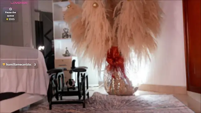 niiaa1 online show from November 2025 03:21:02 AM