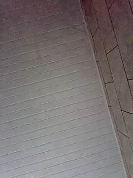 By Aninha online show from February 2026 10:28:01 AM