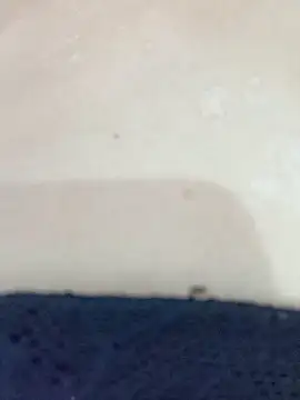 By Aninha online show from November 2025 08:40:01 AM