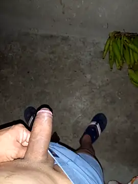 pujarteag online show from March 2026 03:17:01 AM