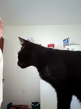 Escarlate4you  online show from March 2026 09:44:02 AM