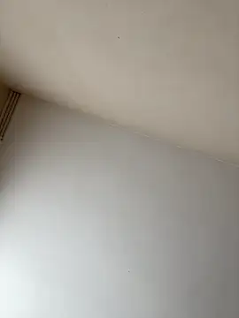 Snapshot of rpotktkkt chatting on November 2025 09:43:01 AM rpotktkkt online show from November 2025 09:43:01 AM