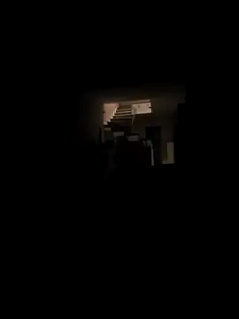 RIP Curl online show from November 2025 07:19:02 AM