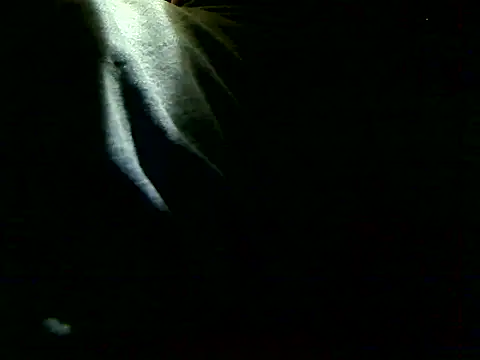 markluvskitty online show from December 2025 03:43:01 PM