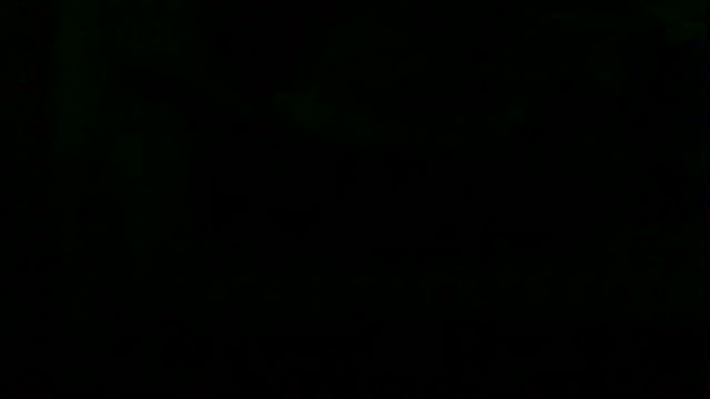 markluvskitty online show from April 2026 07:55:01 AM