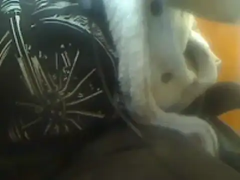markluvskitty online show from March 2025 09:06:02 PM