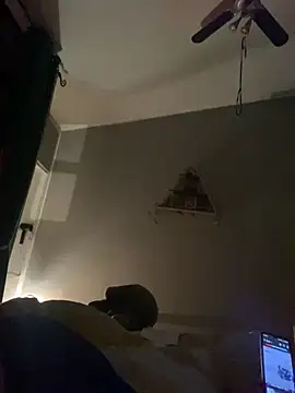 Snapshot of WreckedCrop chatting on January 2025 01:31:02 AM WreckedCrop online show from January 2025 01:31:02 AM