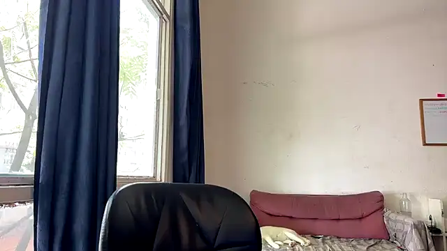 gerson173Hugo online show from January 2026 01:29:01 PM