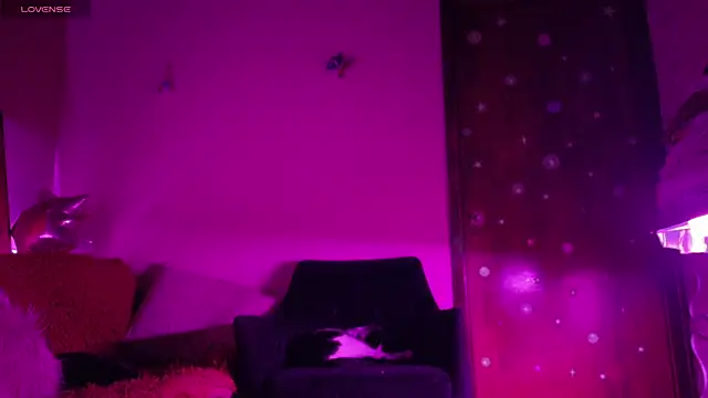 maryberry   online show from April 2026 04:37:02 AM