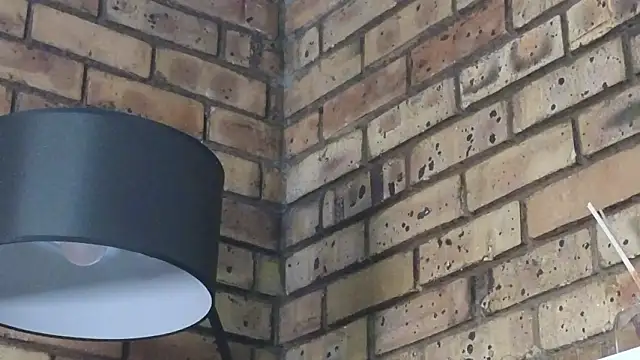 Astoria Moon online show from January 2026 12:20:01 PM