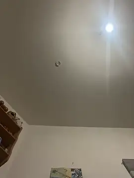 branleurbidu90 online show from February 2026 04:51:01 PM