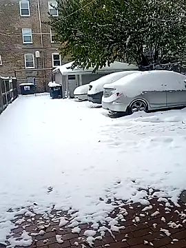 AmazonianMistress online show from November 2025 07:30:02 PM