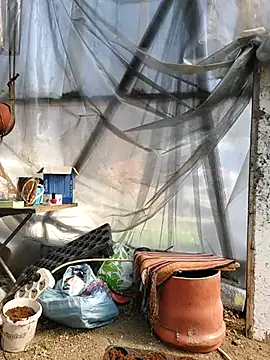 EmmaSquirt online show from March 2025 11:38:02 AM