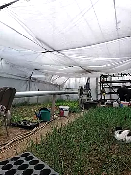 EmmaSquirt online show from March 2025 01:12:02 PM