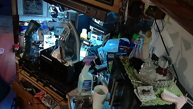 jessicalove99 online show from November 2025 11:36:01 AM