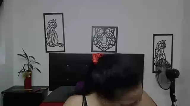 Snapshot of Shanttal0272 chatting on November 2025 02:50:01 PM Shanttal0272 online show from November 2025 02:50:01 PM