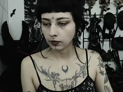n0sferatus   online show from May 2026 02:10:01 AM