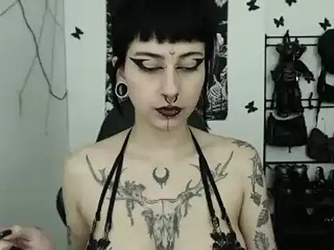 n0sferatus   online show from November 2025 04:01:01 AM