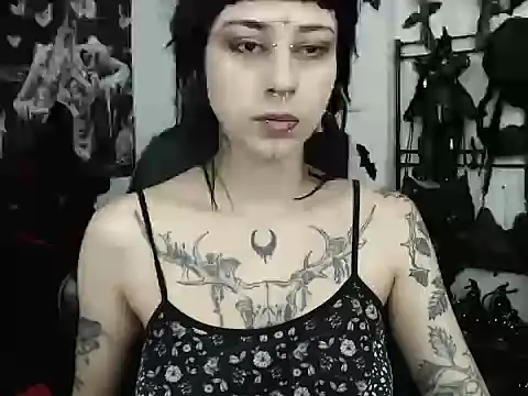 n0sferatus   online show from May 2026 03:35:02 AM
