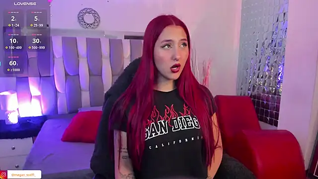 Snapshot of Megan_wolf1_ chatting on February 2025 04:42:01 AM Megan wolf1  online show from February 2025 04:42:01 AM