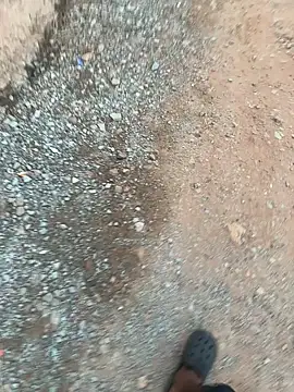 Black-mamba-madingo online show from November 2025 05:39:02 PM