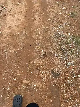 Snapshot of Black-mamba-madingo chatting on March 2026 02:08:02 PM Black-mamba-madingo online show from March 2026 02:08:02 PM