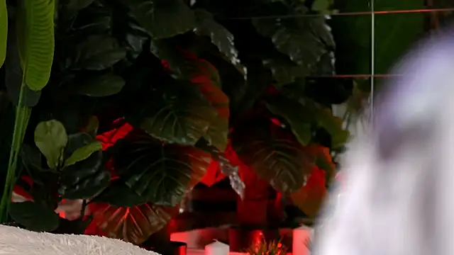 KellyMathews online show from April 2026 01:56:02 AM