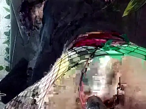 Devilnia9 online show from February 2026 10:38:01 PM