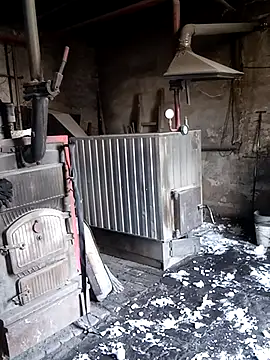 MityaXLoves online show from March 2026 05:52:02 AM