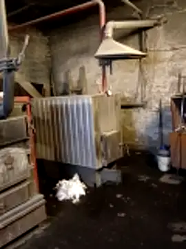 MityaXLoves online show from March 2026 06:56:01 PM