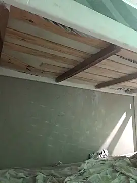 puak6666 online show from November 2025 05:00:01 AM