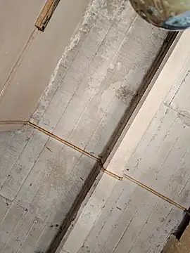 puak6666 online show from October 2025 05:44:02 PM