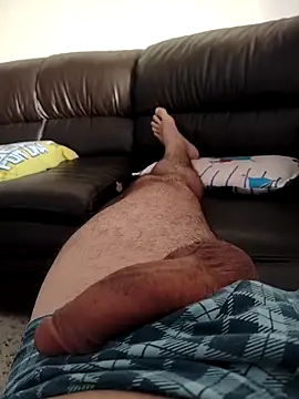 italovene online show from February 2026 11:32:02 AM