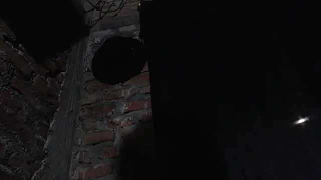 J232001 online show from March 2026 11:49:02 PM