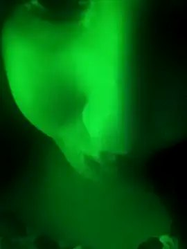 youka tr online show from February 2026 07:36:01 PM