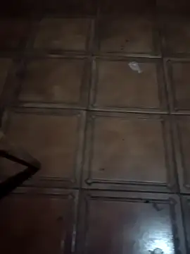 soulreaver199 online show from February 2026 01:16:02 AM