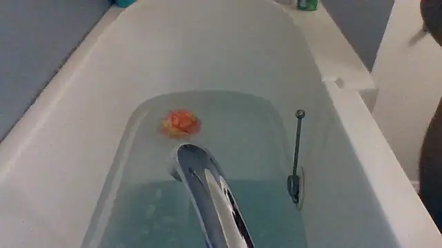 Snapshot of Houstonslong1 chatting on February 2025 08:26:02 AM Houstonslong1 online show from February 2025 08:26:02 AM