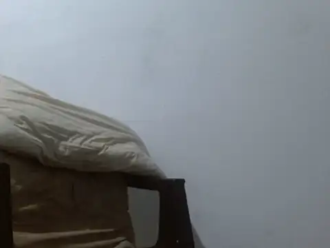 Larry-n-clouds online show from February 2026 01:59:02 AM