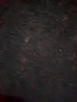 Snapshot of Rozittaa chatting on November 2025 05:17:02 PM Rozittaa online show from November 2025 05:17:02 PM