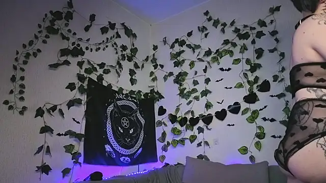 kawai kittypus online show from April 2026 07:59:02 AM