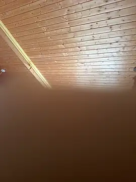 AreiasTuga online show from October 2025 07:39:02 AM