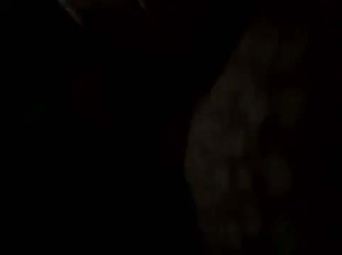 AreiasTuga online show from January 2026 12:25:01 AM