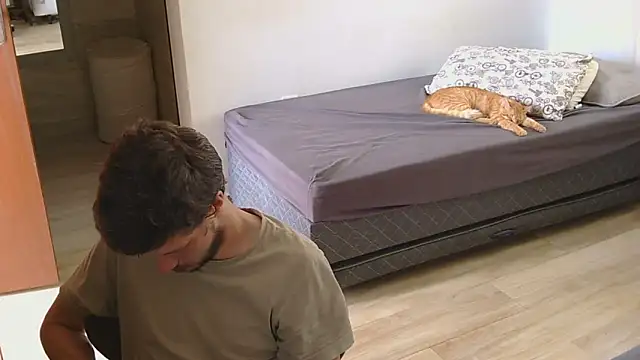 prorafadodoce online show from February 2026 01:13:02 PM