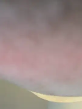 ashley Tompson1 online show from March 2026 11:10:01 AM