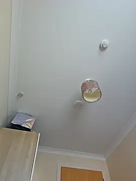 meateater1 online show from November 2025 10:42:01 AM