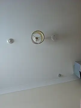 meateater1 online show from November 2025 09:45:02 AM